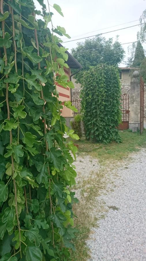 Casa Vallecchia Sona Bagian luar foto