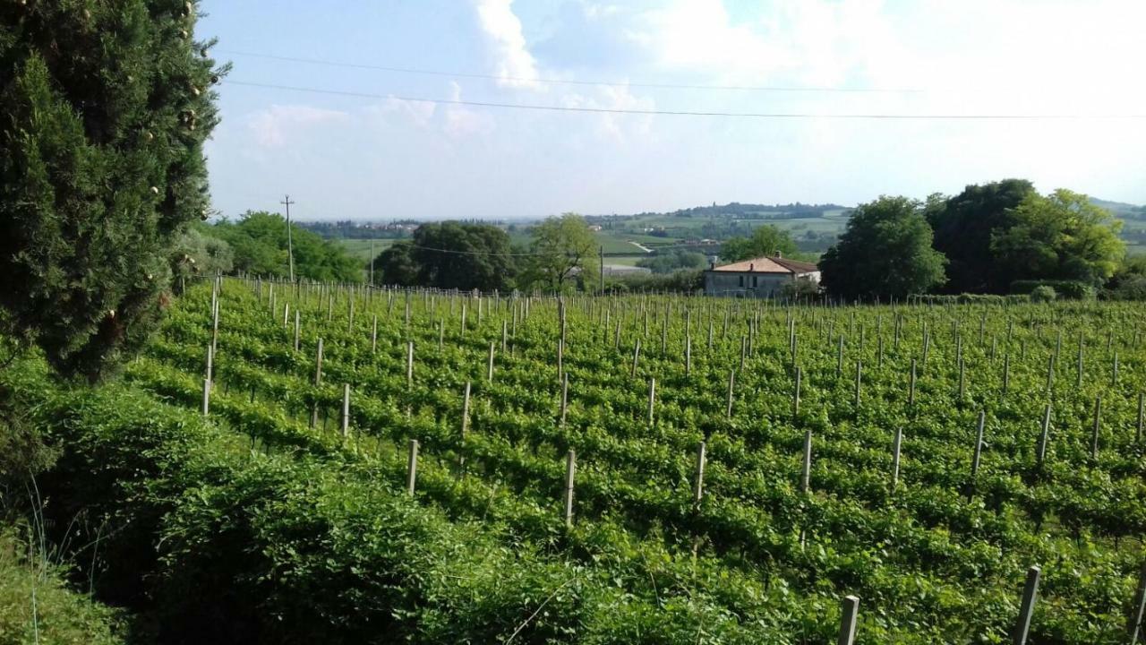 Casa Vallecchia Sona Bagian luar foto